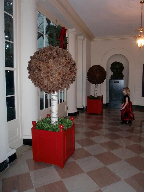 White House Christmas 2009 013.jpg